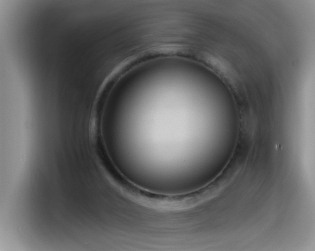 X0000114560016200910191440