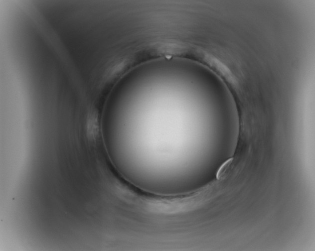 X0000114560017200910191440