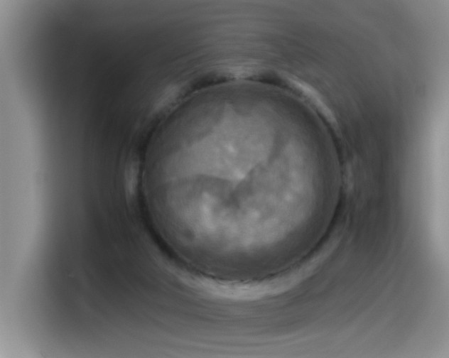 X0000114560018200910191440