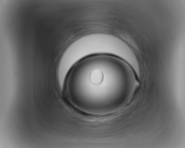 X0000114560021200910191440