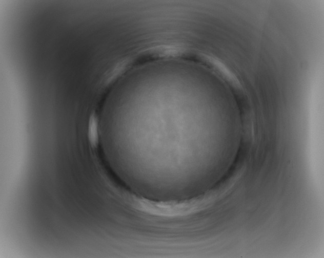 X0000114560022200910191440