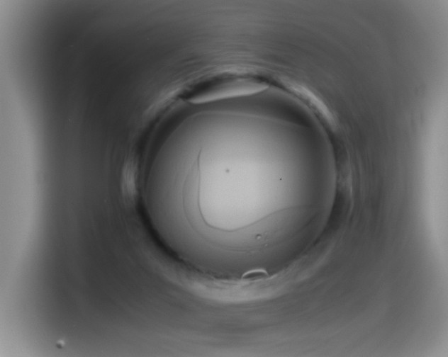 X0000114560023200910191440