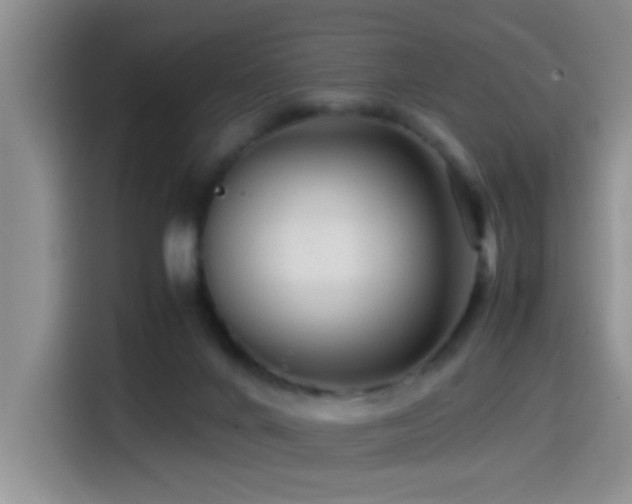 X0000114560024200910191440
