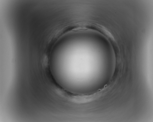 X0000114560025200910191440