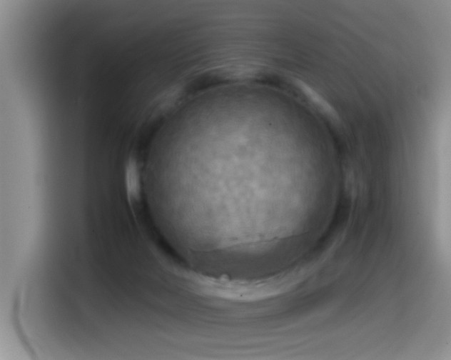 X0000114560026200910191440