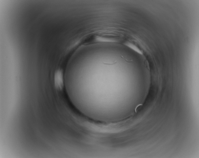 X0000114560028200910191440