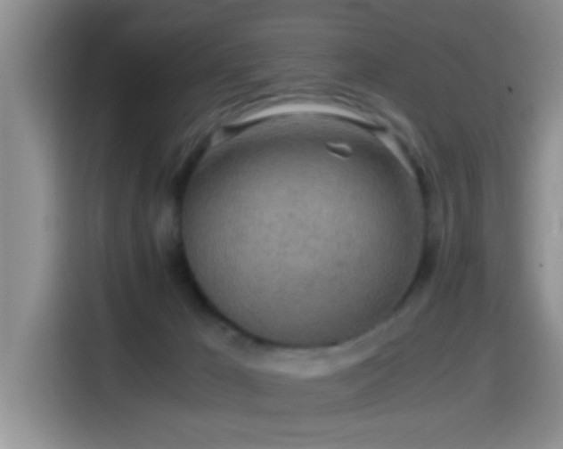 X0000114560029200910191440