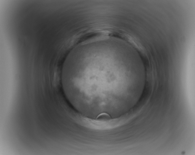 X0000114560030200910191440