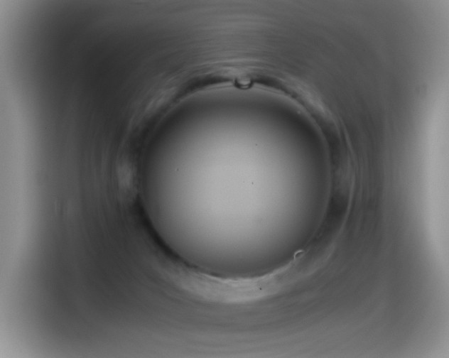 X0000114560031200910191440