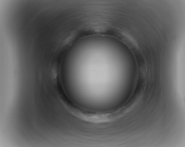 X0000114560032200910191440