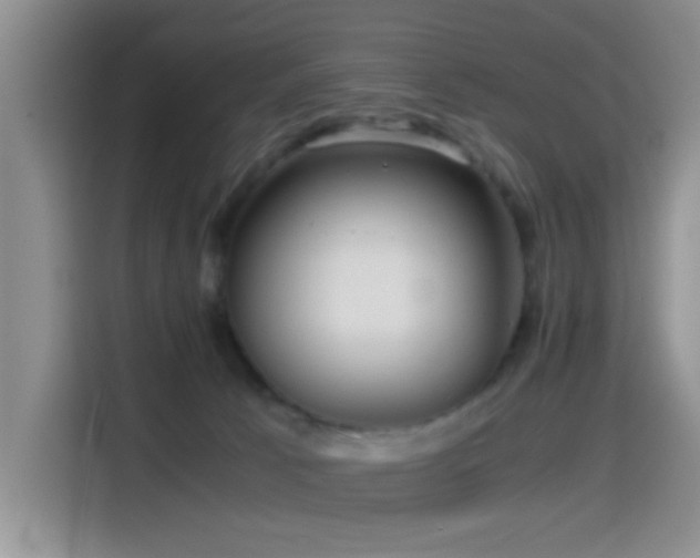 X0000114560033200910191440