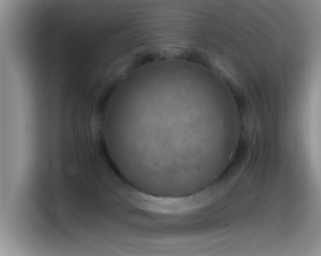 X0000114560034200910191440