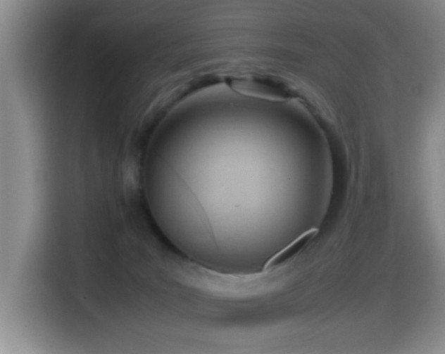 X0000114560035200910191440