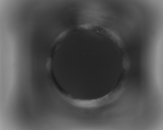 X0000114560036200910191440