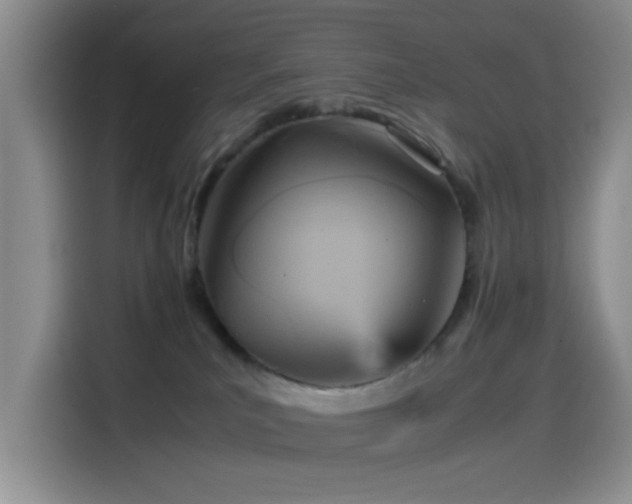 X0000114560039200910191440