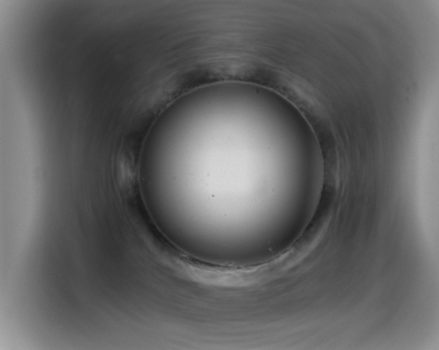 X0000114560040200910191440