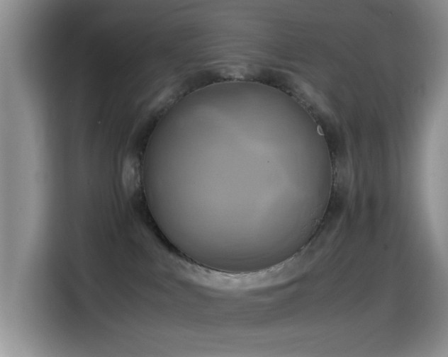 X0000114560043200910191440