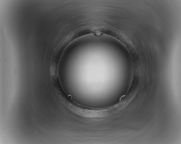 X0000114560044200910191440