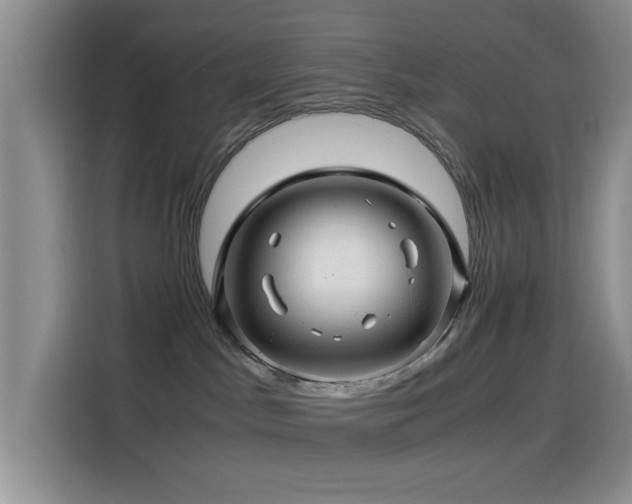 X0000114560045200910191440