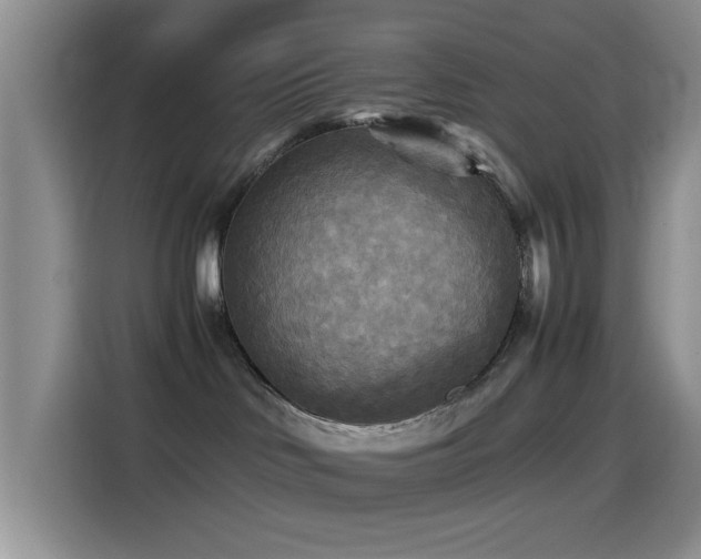 X0000114560046200910191440