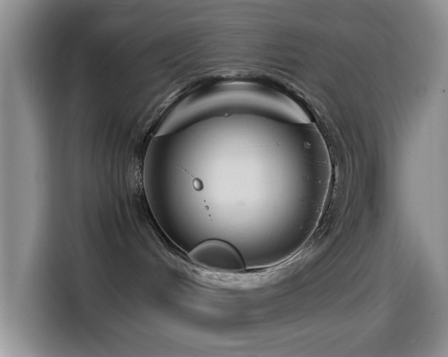 X0000114560048200910191440