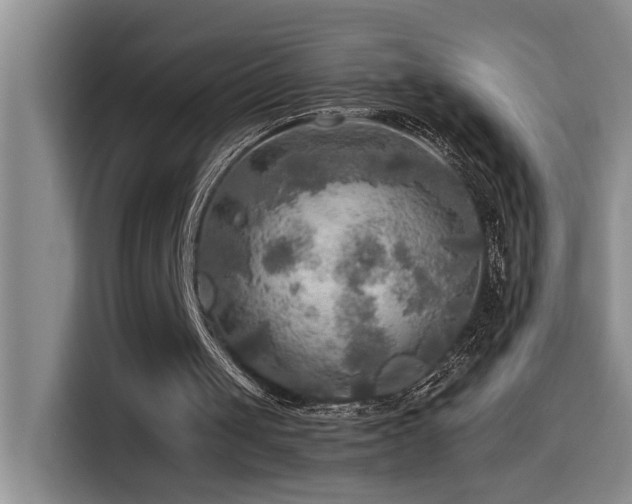 X0000114560049200910191439