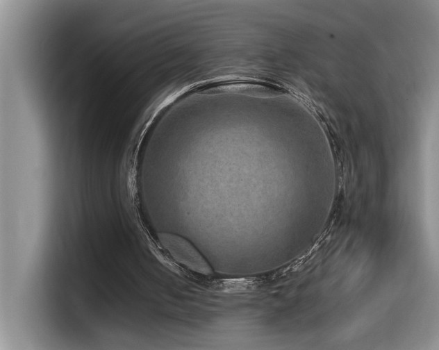 X0000114560050200910191439