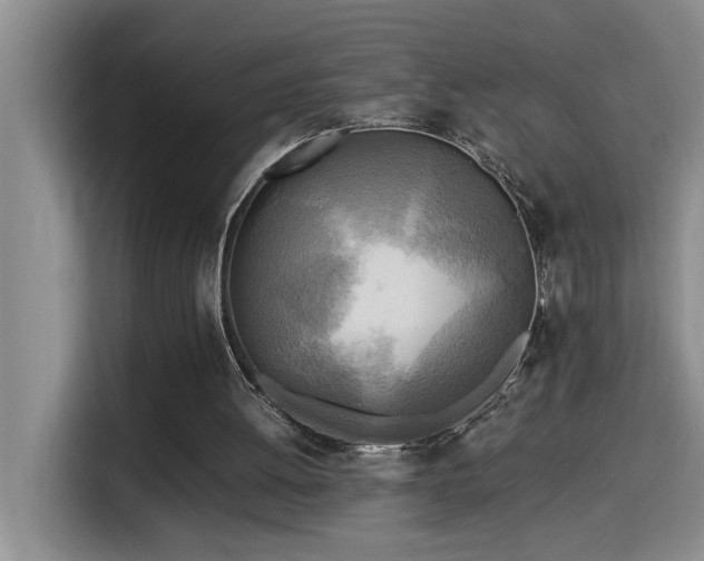 X0000114560052200910191439