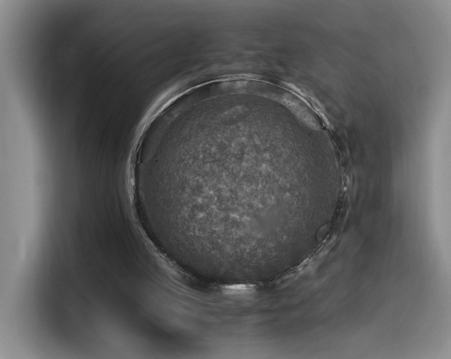 X0000114560053200910191439