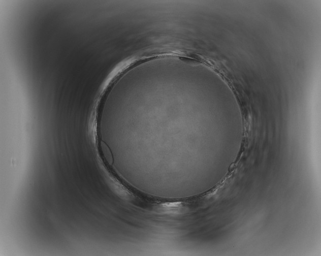 X0000114560054200910191439