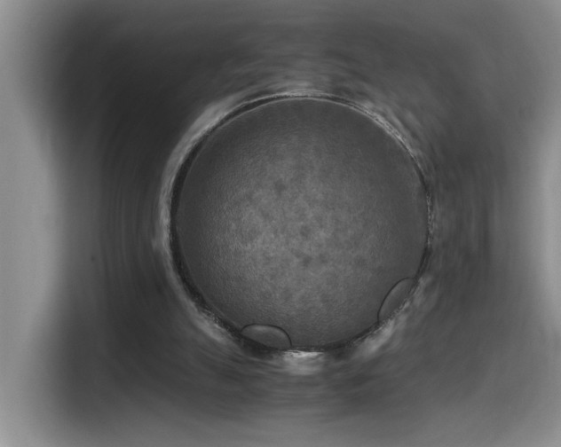 X0000114560055200910191439