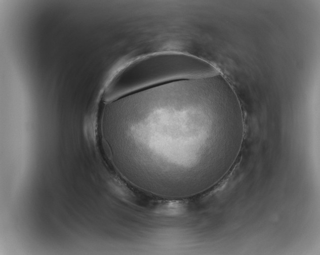 X0000114560056200910191439