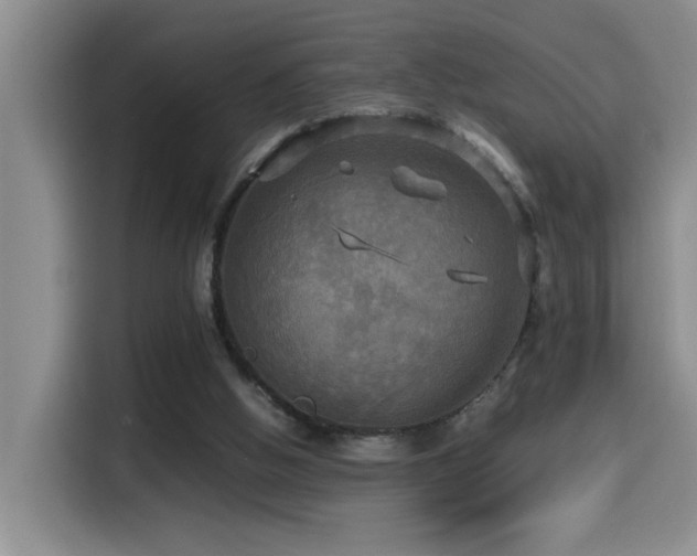 X0000114560058200910191439