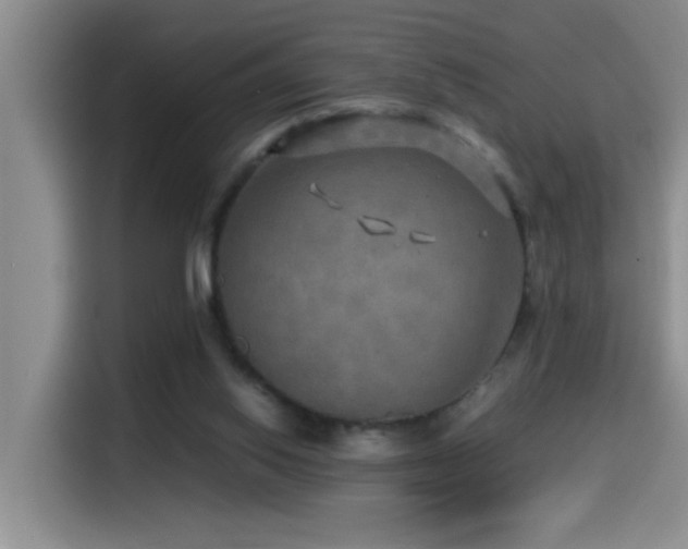 X0000114560062200910191440