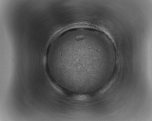 X0000114560063200910191440