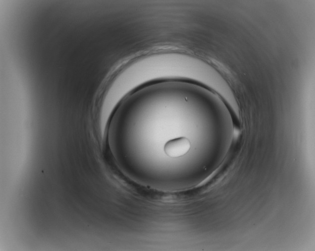 X0000114560064200910191440