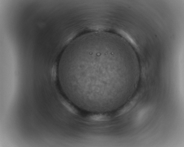 X0000114560065200910191440