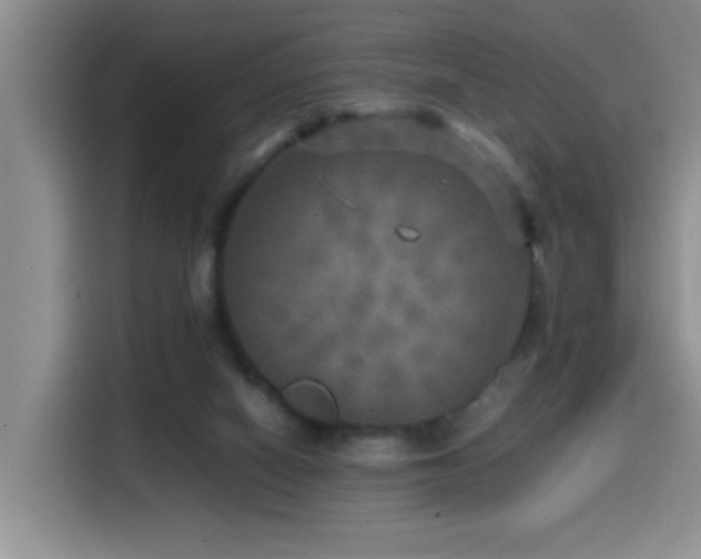 X0000114560066200910191440