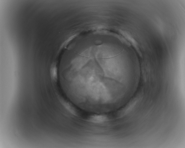 X0000114560067200910191440
