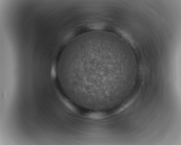 X0000114560069200910191440