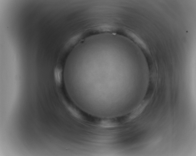 X0000114560070200910191440