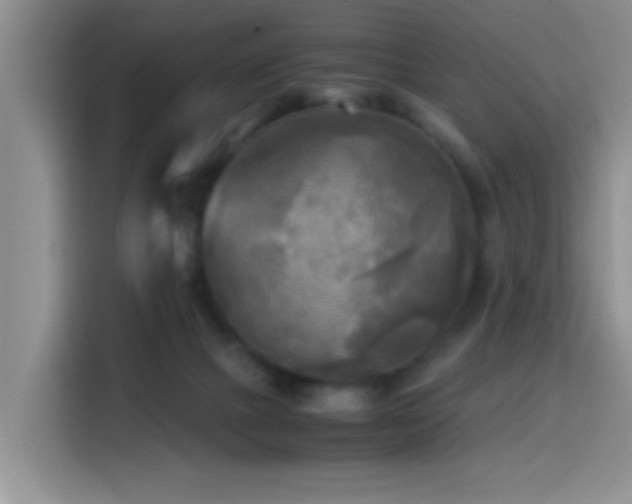 X0000114560073200910191440