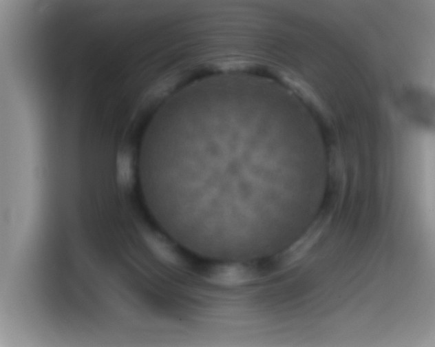 X0000114560074200910191440