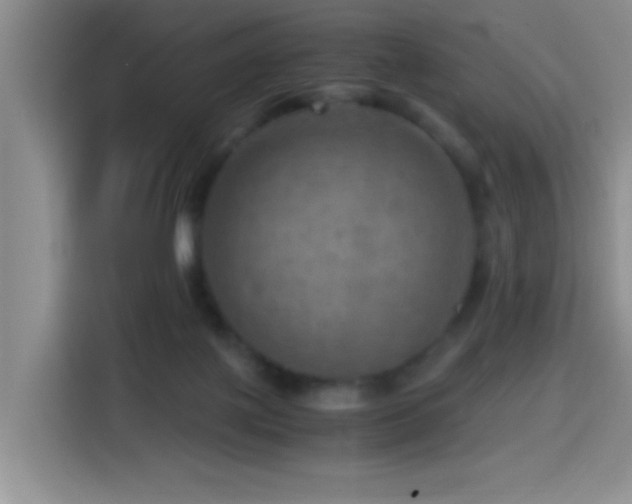 X0000114560075200910191440