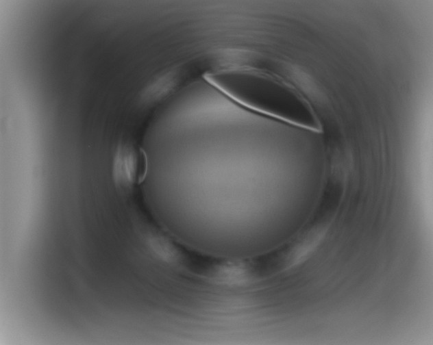 X0000114560076200910191440