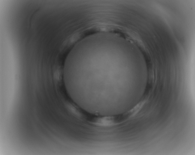 X0000114560078200910191440