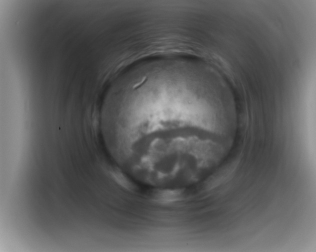 X0000114560081200910191440