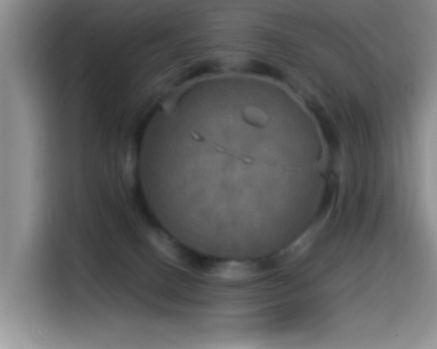 X0000114560082200910191440