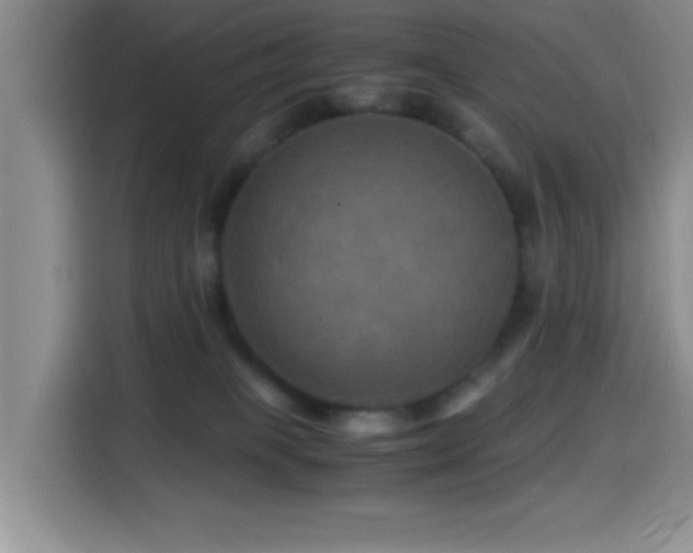 X0000114560085200910191440