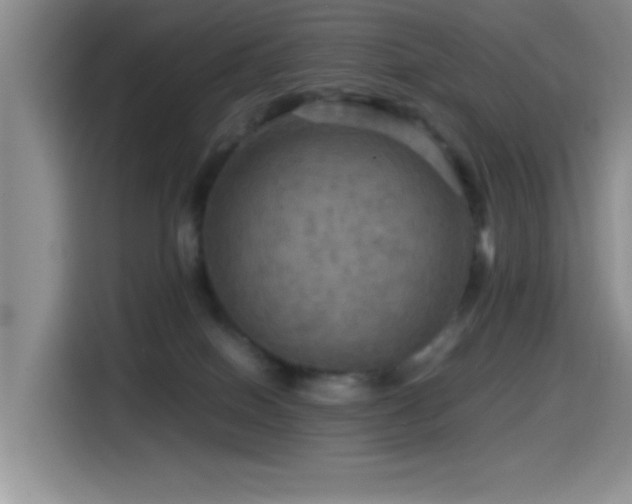 X0000114560086200910191440